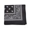 Unibasic Paisley 100% Cotton Bandana XL, head wrap, handkerchief - 10 Pack